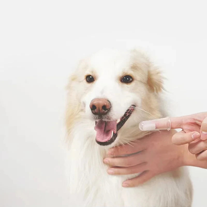 Silicone Fingertips Toothbrushes Cat Dog Pet Tools for Removing Bad Breath Tartar Pets Teeth Oral Cavity Cleaning Care Products