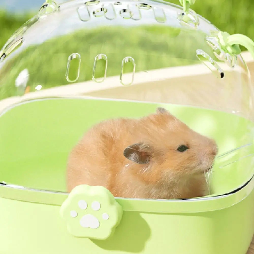Portable Transparent Pet Carriers Cage Breathable Ventilated Travel Pet Cage Escape-Proof with Water Bottle Pet House Car Travel